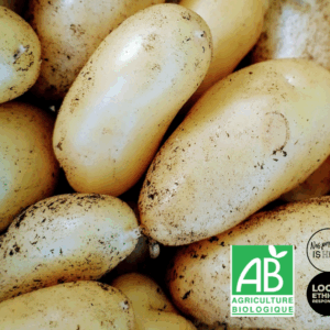 Pommes de terre nouvelle Bio (lot 500 g)