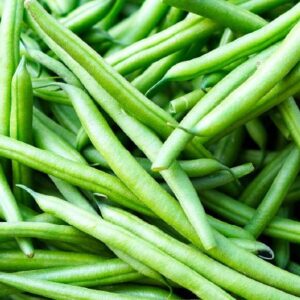 Haricot vert bio (lot 500g)