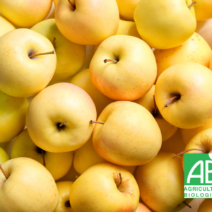 Pomme bio Gold rush (Kg)