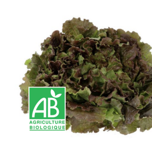 Salade brune bio (Pièce)
